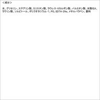 花王 ビオレ スキンケア洗顔料モイスチャーミニ 30g