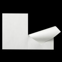 アスクル領収証用紙 A5ミシン目入 白色 無地 1箱（500枚入）  オリジナル（わけあり品）