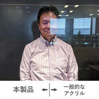 プラス 飛沫防止 超低反射 卓上パーテーションSP 窓付き 幅900×奥行160×高さ600mm クリヤー DTP-A0906SP-W 1台（取寄品）