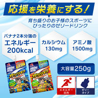 味の素 アミノバイタル ゼリー ドリンク ガッツギア りんご味 アミノ酸 bcaa ビタミン 栄養補助食品 1セット（6個）