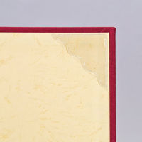 ナカバヤシ 証書ファイルCタイプ スエード A4 紺 FSS-A4C-B 1冊