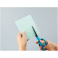 コクヨ タックタイトル用保護フィルム フリーサイズ 寸法9 タ-180 1パック