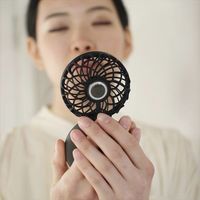 携帯扇風機 卓上 ミラーファンビュラス ノワール USB充電式/鏡・LED付/風量3段階 ブラック DFCP226BK スパイス