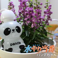 マルハチ 水やり当番 パンダちゃん 217449 1個 マルハチ産業（直送品）