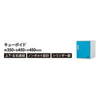 【軒先渡し】Netforce ネットフォース キューボイド ロッカー 幅350×奥行450×高さ450mm BK×BK 1台（直送品）