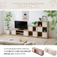 【軒先渡し】B.Bファニシング Noxia スライドドア テレビボード 幅1200×奥行300×高さ390mm ライトブラウン 1台（直送品）