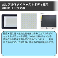 富士倉 300W薄型輝高度投光器 AS-300N 1個（直送品）