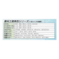 エヒメ紙工 両面ホイル単色 緑/金 RF-GR/G 1セット(1冊×10)（直送品）