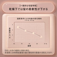 THE ANSWER（ジアンサー）シーズナルケア AW スーパーラメラシャンプー ポンプ 400ml 花王