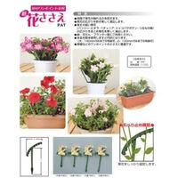 石崎剣山製作所 花ささえ足長小 2027040 1個（直送品）