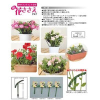 石崎剣山製作所 花ささえ足短小 2027030 1個（直送品）