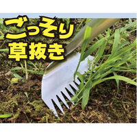 石黒金属 ごっそり草抜きワイド2段伸縮ALー50WS 3700403 1個（直送品）