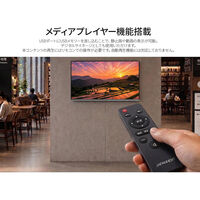 ジャパンネクスト 50インチ 4K液晶ディスプレイ 3840x2160 VA HDMIx3 5年保証 JN-V50U2-M-H5（直送品）