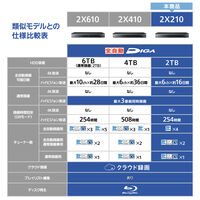 パナソニック ブルーレイディスクレコーダー DMR-2X210 1台