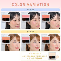ORBIS（オルビス） ナチュラルフィットチーク （ケース入り、ブラシ1本付） ソフトレッド