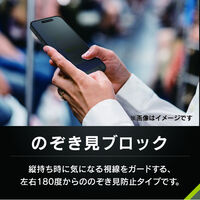 トリニティ iPhone 17/16 Pro ゴリラガラス のぞき見防止 強化ガラス 光沢 TR-IP25M2-GLS-GOLPVC 1個（直送品）