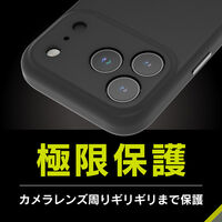 トリニティ iPhone 17 Pro MagSafe レザーケース グレージュ TR-IP25M3-NNSL-SIGRG 1個（直送品）