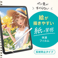 トリニティ iPad Air 11(M4/M3/M2) ケント紙 反射防止フィルム TR-IPD26AS-PFI-PLAK 1個（直送品）