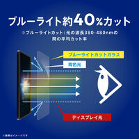 トリニティ iPad(A16/第10世代) ブルーライト低減 位置ピタ 保護フィルム 光沢 TR-IPD26-PFI-AFBCC 1個（直送品）