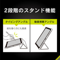 トリニティ iPad Air 11(M3-M2/5-4世代)フリップケース ライトブラック TRR-IPD24AS-FS-SMBK 1個（直送品）
