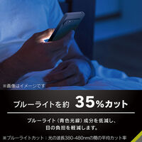 トリニティ Xperia 10 VII [FLEX 3D] ブルーライト低減 フレームガラス TR-XP255-G3-B3CCBK 1個（直送品）