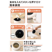 全自動スープメーカー 600ml  離乳食 12H予約 高温洗浄機能 アイボリー TEC-A04MS-W テスコム 1個（直送品）