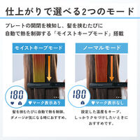 ヘアーアイロン マイナスイオン ストレートアイロン ナノセラミック ブラック TEC-B055S-K テスコム 1個（直送品）