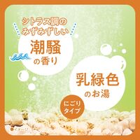 きき湯 炭酸入浴剤 食塩炭酸湯 スプーンなし2回分増量 420g お湯の色 乳緑色の湯（にごりタイプ）1セット（1個×3） アース製薬