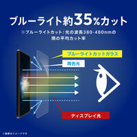 トリニティ Pixel 11ほか FLEX3D ゴリラ BL低減 光沢 複合ガラス TR-PX2611-G3-GOB3CBK 1個（直送品）