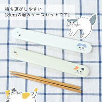 逸品社 MoiNEKO 箸・箸箱セット ハチワレ 554990 1個（直送品）