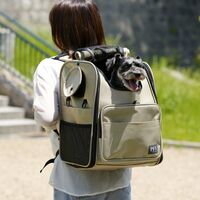 PFI キャリーバッグModern ベージュ 4595124667049 1個（直送品）