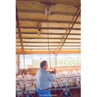 エスコ 1814kg ハンドウィンチ(自動ブレーキ付/天井設置型) EA989RD-51 1台（直送品）