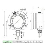 エスコ 100mm/0ー2.0MPa つば付圧力計(グリセリン入) EA729GJ-20 1個（直送品）