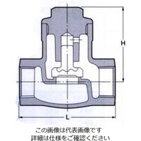 エスコ 3/8” リフトチャッキバルブ EA465AE-3 1個（直送品）