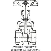 エスコ Rc 1/4” グローブバルブ EA470C-2 1セット(4個)（直送品）