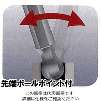 エスコ 6.0x89mm [Ball Hex]ドライバービット EA611GN-16 1セット(4本)（直送品）