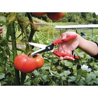 エスコ 210mm 野菜収穫はさみ EA540BC-16 1セット(4個)（直送品）