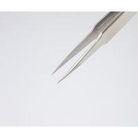 アズワン 精密ピンセット No.2 極細 ステンレス NO.2-INOX 1本 7-562-02（直送品）