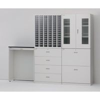 アズワン セレクトラボ ラテラル(1列4段) 750×450×1050mm LL4-7 1個 1-3368-02（直送品）