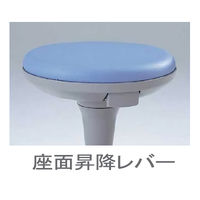 イトーキ サポートスツール2 肘なし 背無 固定脚 座面回転 ソフトブルー KSK-182DF-B7（直送品）