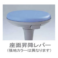 イトーキ サポートスツール2 足掛付 肘なし 背無 キャスター脚 座面回転 アップルグリーン KSK-190DF-L6（直送品）