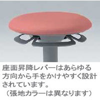 イトーキ　サポートスツール　背無　キャスター脚　ブルー　PCK-1104DL-W4B7　1脚　（直送品）