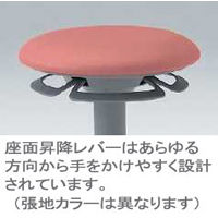 イトーキ　サポートスツール　背無　固定脚　オフホワイト　PCK-1105DL-W4C8　1脚　（直送品）