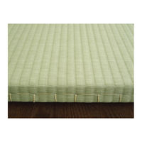 防災畳　軽量タイプ　半帖サイズ（幅880×奥行880×高さ25mm）　12枚セット　広浜　（直送品）