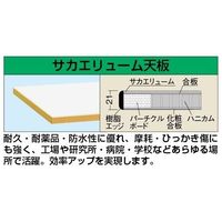 サカエ 軽量作業台(KKタイプ/均等耐荷重350kg/サカエリューム天板/H740mm/固定式) KKー48FIV 1台（直送品）