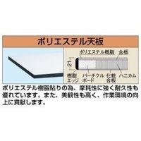 サカエ 軽量高さ調整作業台(TKSタイプ/均等耐荷重200kg/ポリエステル天板/H740~940mm/固定式) TKSー157PD 1台（直送品）
