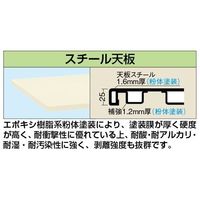 サカエ 中量作業台(KTタイプ/均等耐荷重800kg/スチール天板/H740mm/固定式) KTー703SI 1台（直送品）