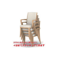 アイリスチトセ　レリスタ　ダークブラウン／グレー　RST-MD-UP2838　1脚　（直送品）