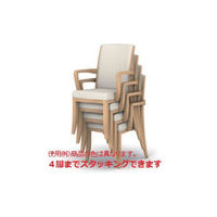 アイリスチトセ　レリスタ　ナチュラル／グリーン　RST-MN-UP2765　1脚　（直送品）