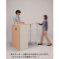 フラットラインストレージ（高さ1100mm）専用サイドカウンター　ホワイト　プラス　（直送品）